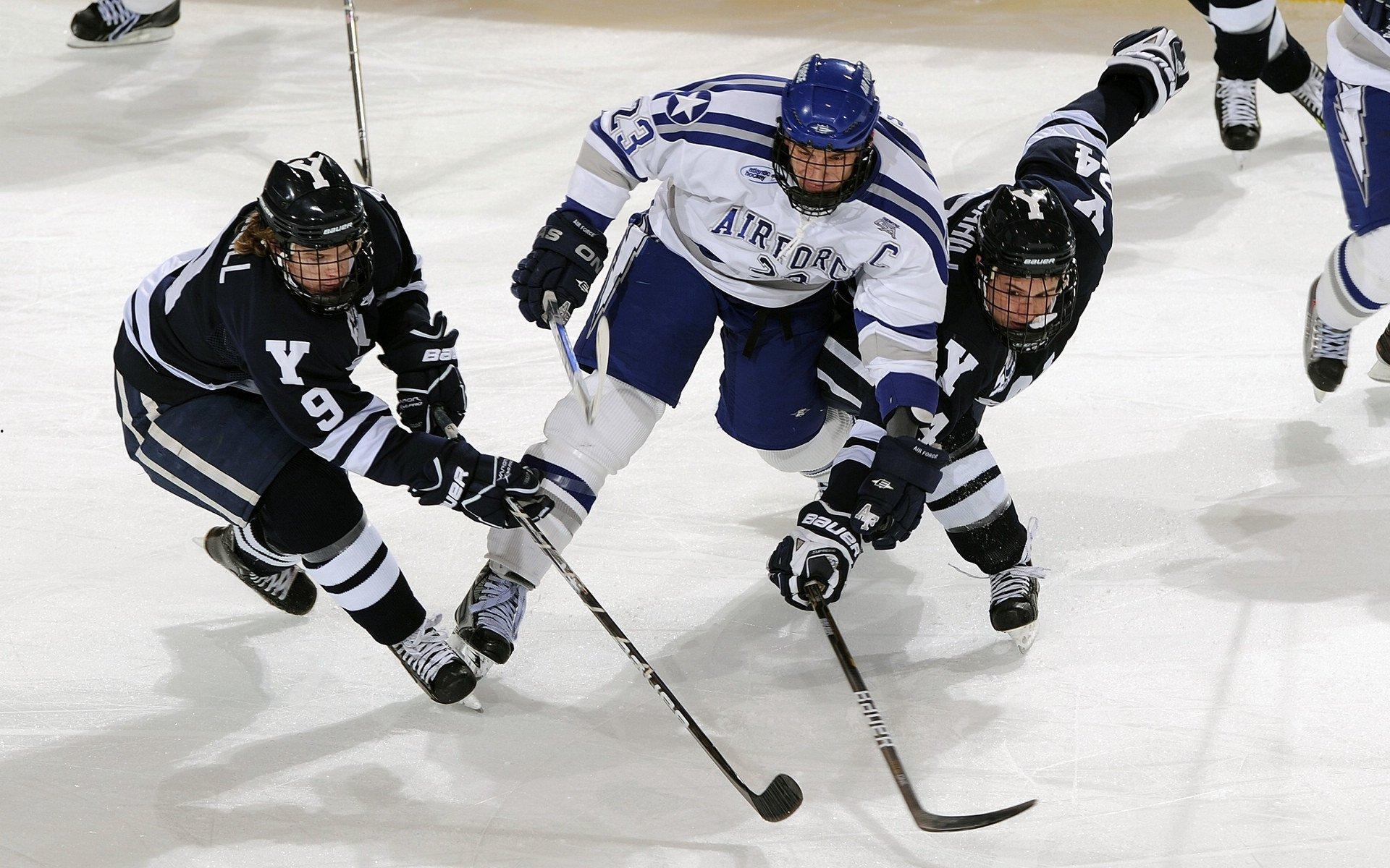 体育慈善盛典圆满落幕 众星携手助力青少年体育梦想