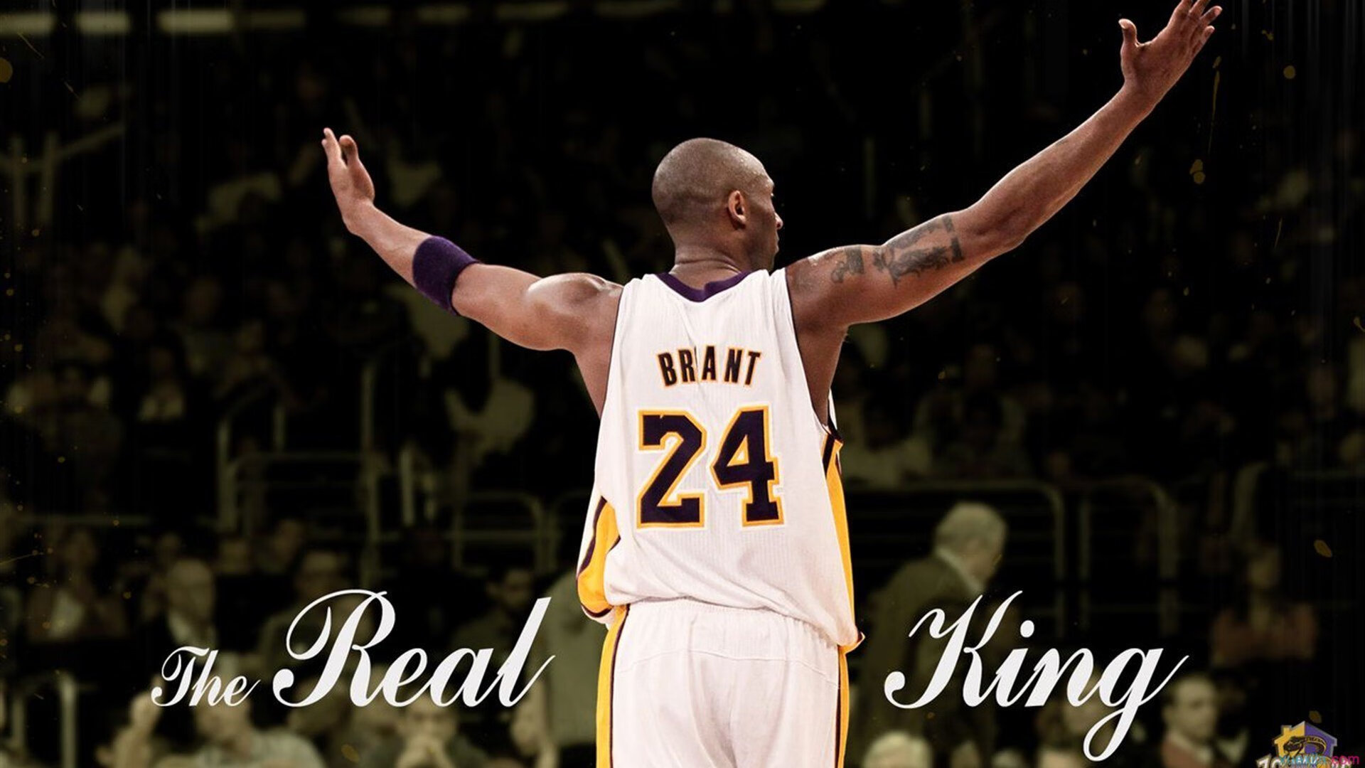 百米飞人巅峰对决,新星闪耀,传奇再续