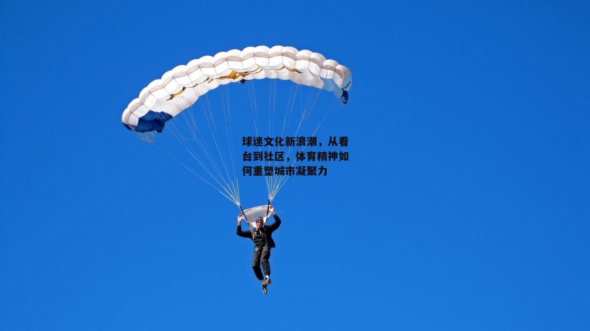 球迷文化新浪潮,从看台到社区,体育精神如何重塑城市凝聚力